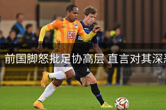 前国脚怒批足协高层 直言对其深恶痛绝